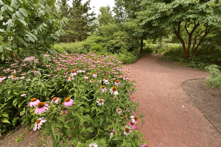 Portage Park nature garden